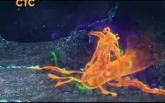 Клуб Винкс: Школа волшебниц 5 сезон 17 серия